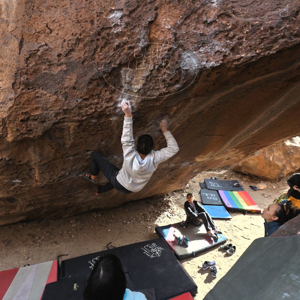 Filename: SRM_20221220_1338510.jpg
Aperture: f/5.6
Shutter Speed: 1/500
Body: Canon EOS R6
Lens: Canon EF 16-35mm f/2.8 L