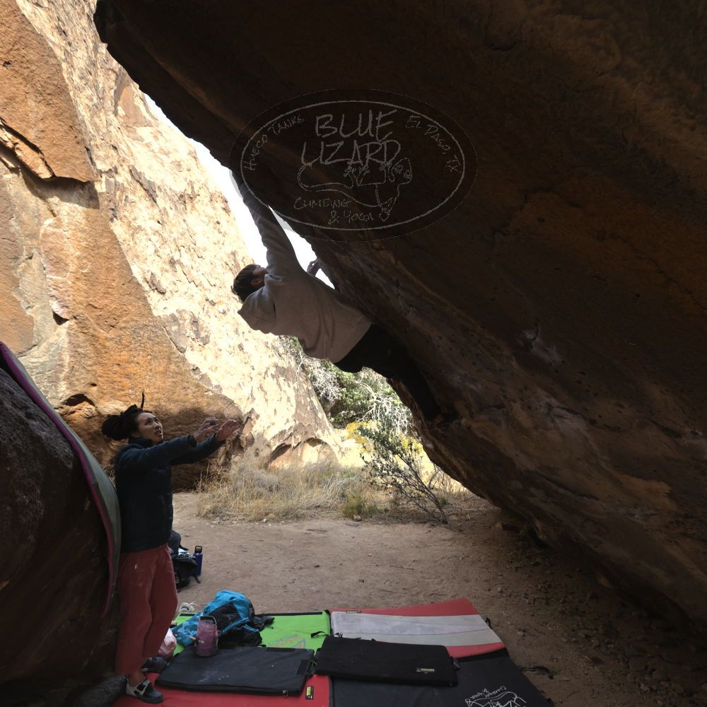 

Filename: SRM_20221220_1353550.jpg
Aperture: f/5.6
Shutter Speed: 1/500
Body: Canon EOS R6
Lens: Canon EF 16-35mm f/2.8 L