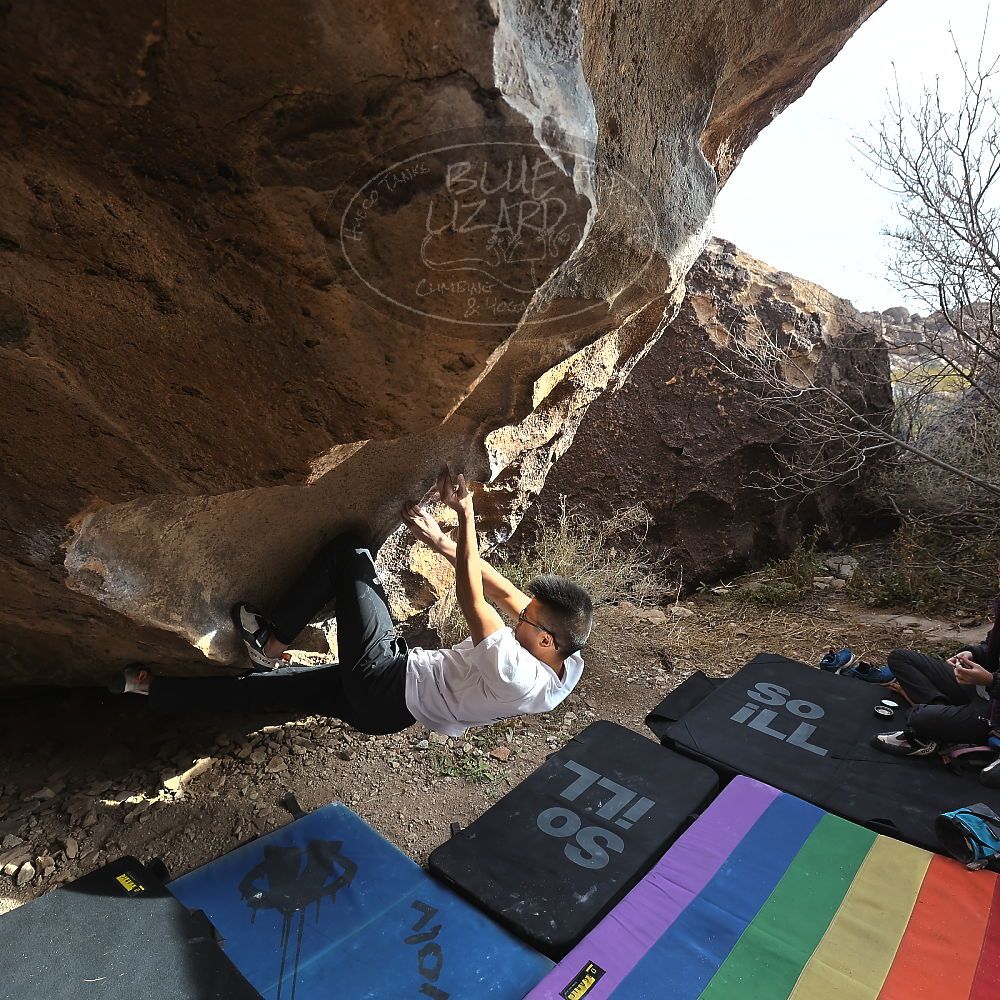 

Filename: SRM_20221220_1355191.jpg
Aperture: f/5.6
Shutter Speed: 1/500
Body: Canon EOS R6
Lens: Canon EF 16-35mm f/2.8 L