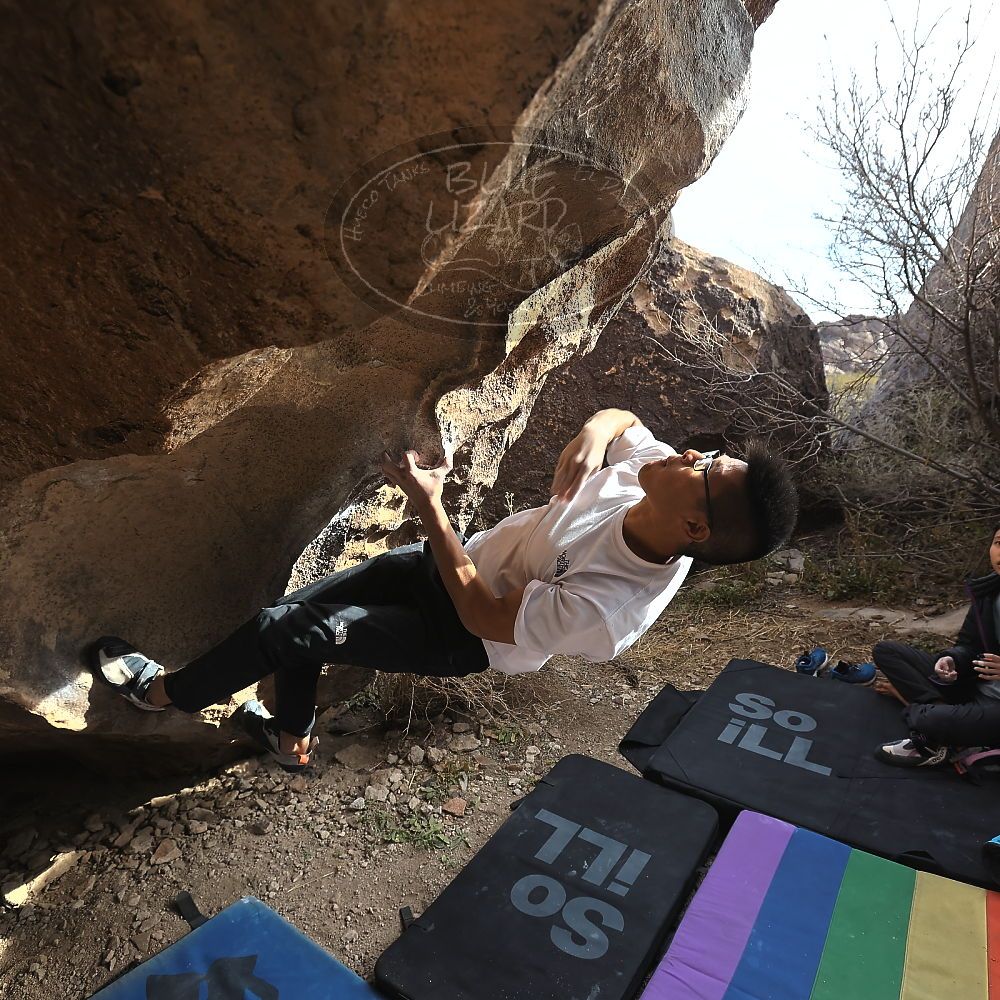 

Filename: SRM_20221220_1355250.jpg
Aperture: f/5.6
Shutter Speed: 1/500
Body: Canon EOS R6
Lens: Canon EF 16-35mm f/2.8 L