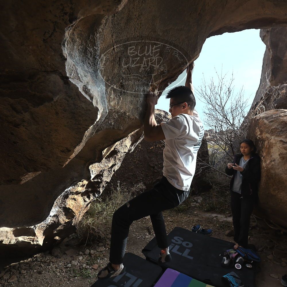 Filename: SRM_20221220_1355370.jpg
Aperture: f/5.6
Shutter Speed: 1/500
Body: Canon EOS R6
Lens: Canon EF 16-35mm f/2.8 L