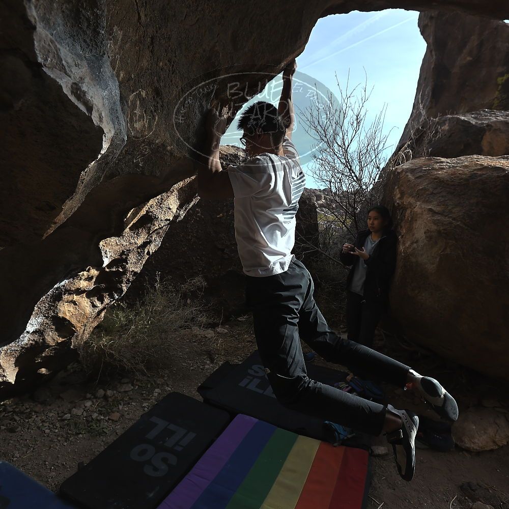 Filename: SRM_20221220_1355381.jpg
Aperture: f/5.6
Shutter Speed: 1/500
Body: Canon EOS R6
Lens: Canon EF 16-35mm f/2.8 L