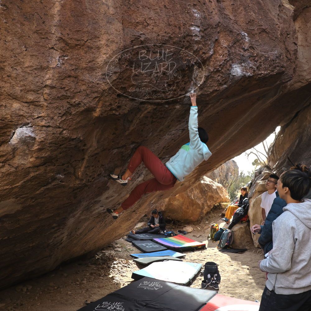 

Filename: SRM_20221220_1356470.jpg
Aperture: f/5.6
Shutter Speed: 1/500
Body: Canon EOS R6
Lens: Canon EF 16-35mm f/2.8 L