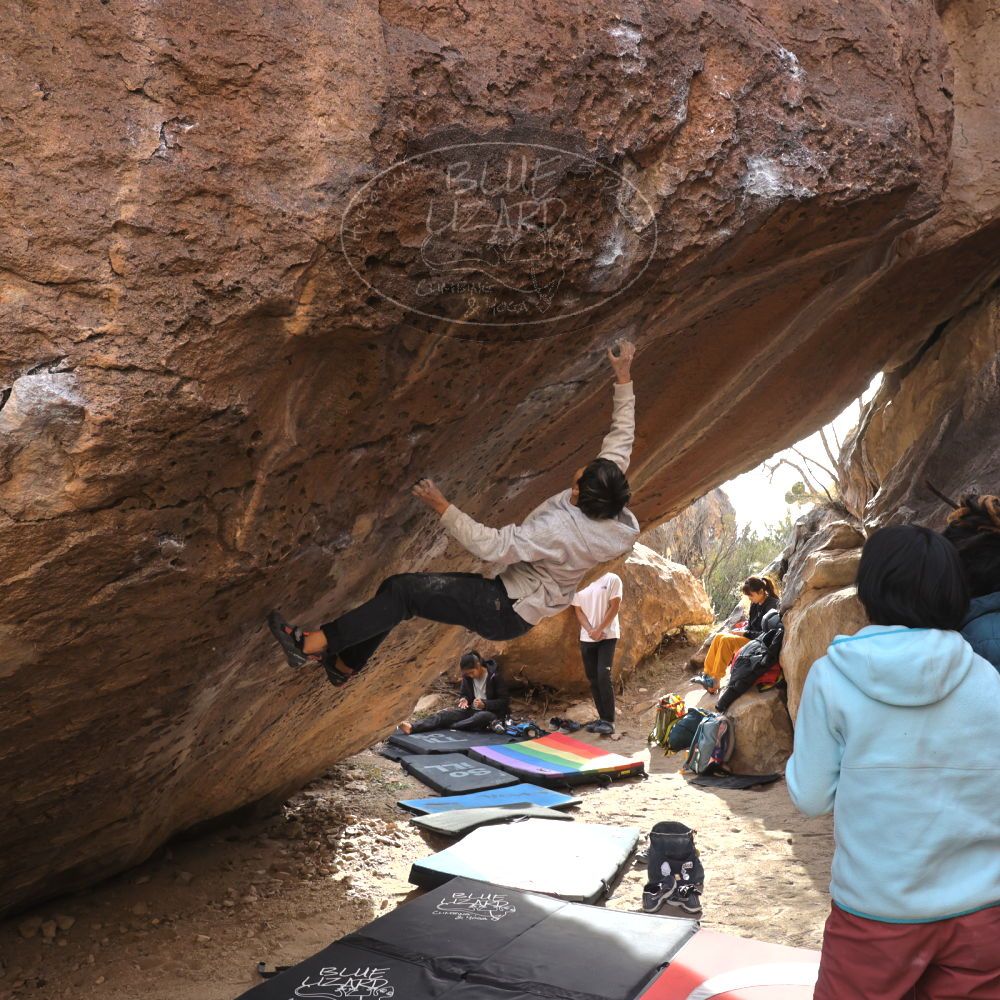 Filename: SRM_20221220_1357240.jpg
Aperture: f/5.6
Shutter Speed: 1/500
Body: Canon EOS R6
Lens: Canon EF 16-35mm f/2.8 L