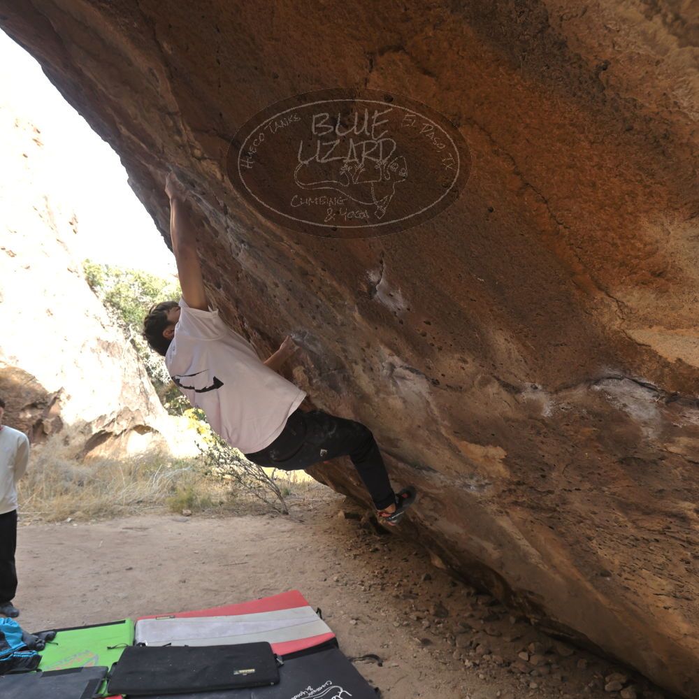 Filename: SRM_20221220_1401490.jpg
Aperture: f/5.6
Shutter Speed: 1/500
Body: Canon EOS R6
Lens: Canon EF 16-35mm f/2.8 L