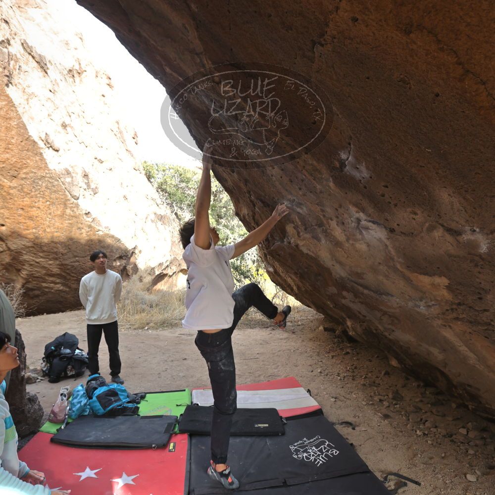 

Filename: SRM_20221220_1401495.jpg
Aperture: f/5.6
Shutter Speed: 1/500
Body: Canon EOS R6
Lens: Canon EF 16-35mm f/2.8 L