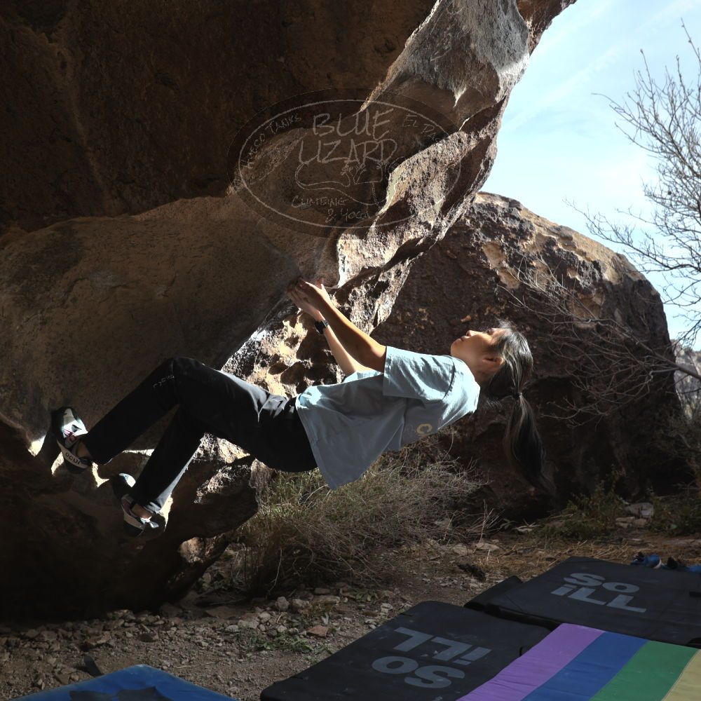 Filename: SRM_20221220_1402291.jpg
Aperture: f/5.6
Shutter Speed: 1/500
Body: Canon EOS R6
Lens: Canon EF 16-35mm f/2.8 L