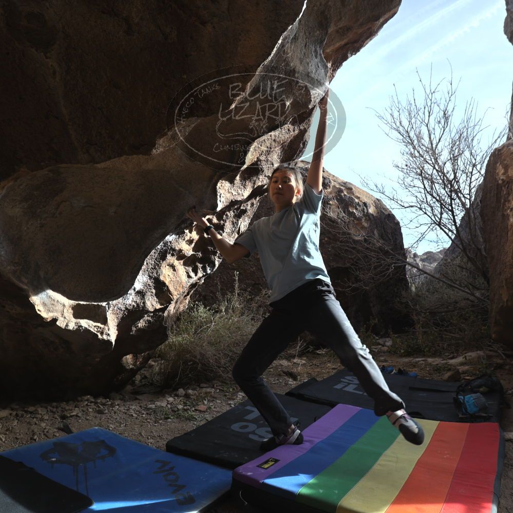 Filename: SRM_20221220_1402350.jpg
Aperture: f/5.6
Shutter Speed: 1/500
Body: Canon EOS R6
Lens: Canon EF 16-35mm f/2.8 L