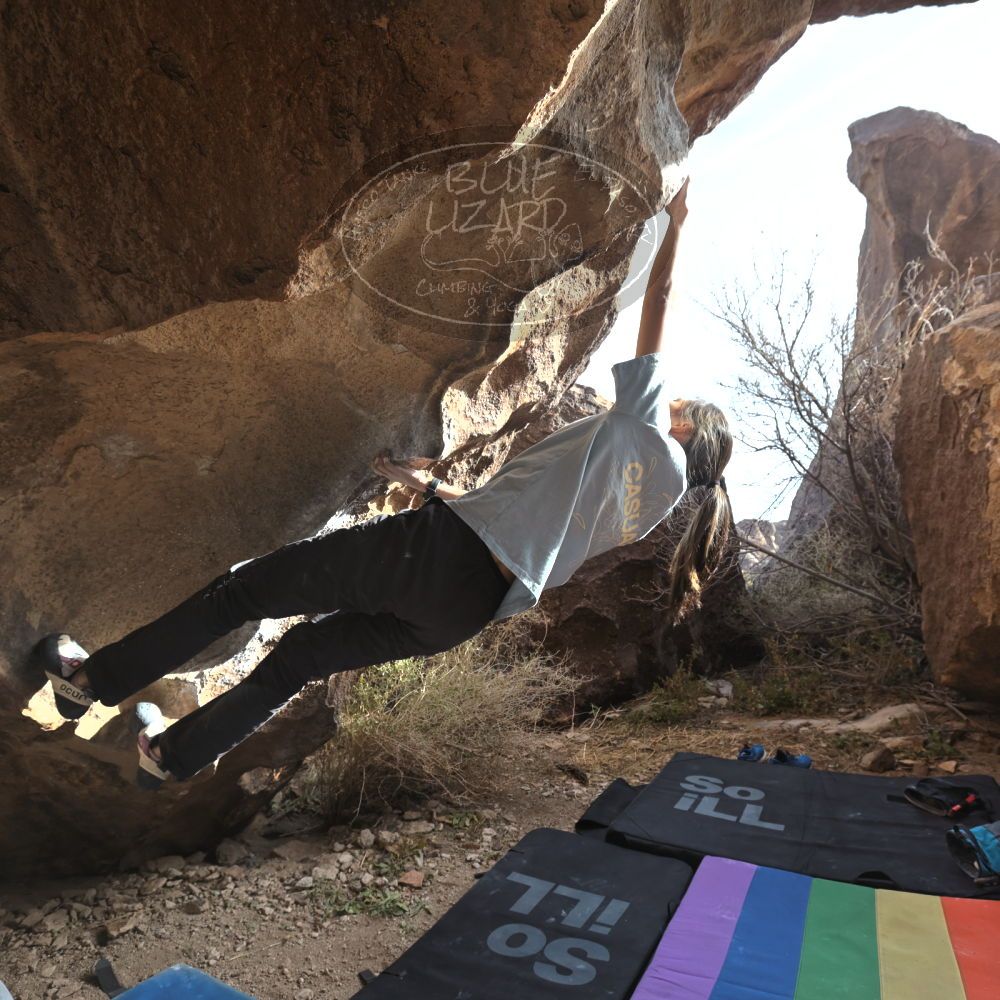 Filename: SRM_20221220_1407000.jpg
Aperture: f/5.6
Shutter Speed: 1/500
Body: Canon EOS R6
Lens: Canon EF 16-35mm f/2.8 L