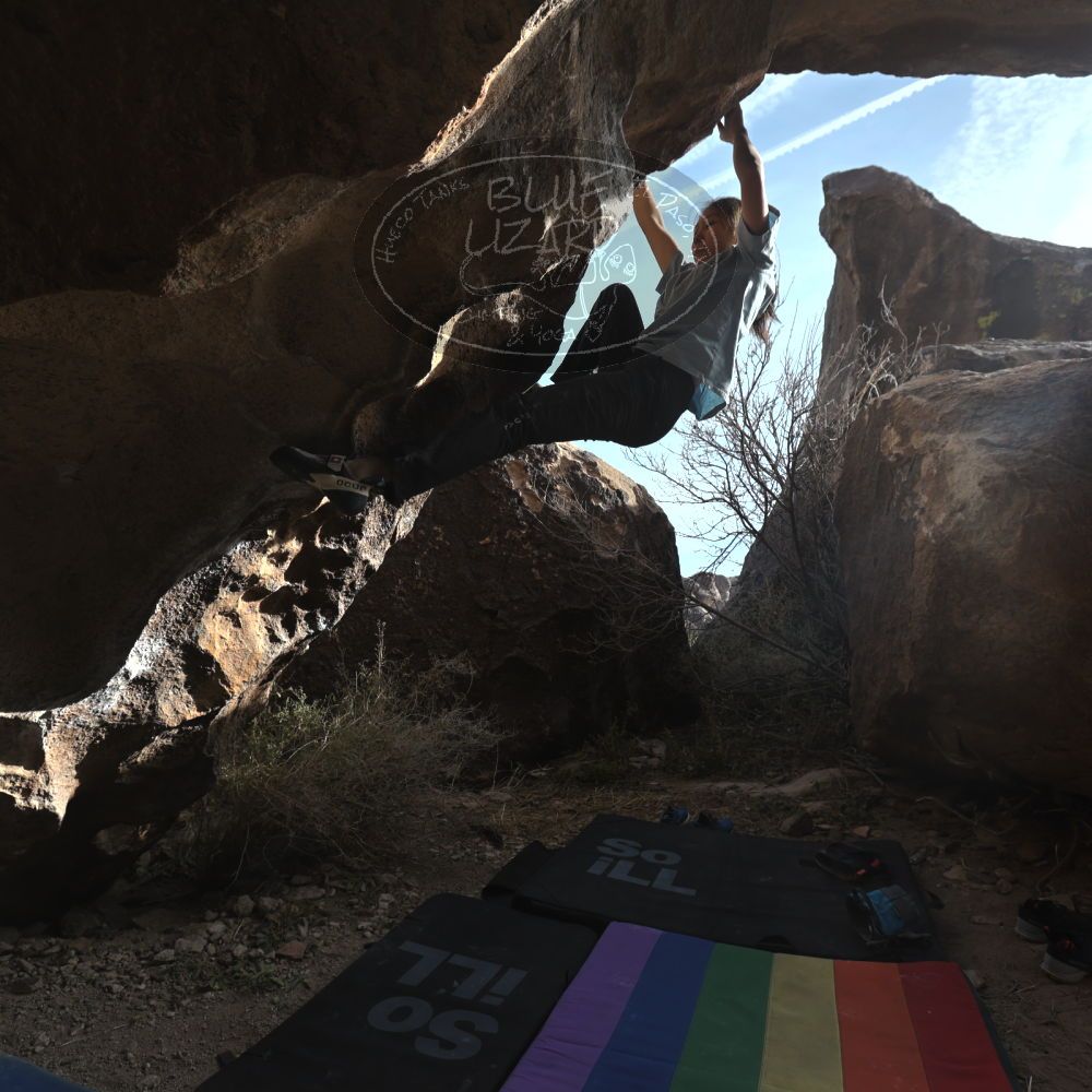 

Filename: SRM_20221220_1407200.jpg
Aperture: f/5.6
Shutter Speed: 1/500
Body: Canon EOS R6
Lens: Canon EF 16-35mm f/2.8 L