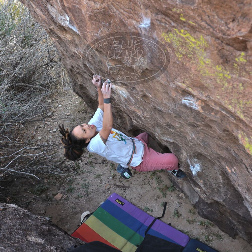 Filename: SRM_20221220_1425590.jpg
Aperture: f/5.6
Shutter Speed: 1/500
Body: Canon EOS R6
Lens: Canon EF 16-35mm f/2.8 L