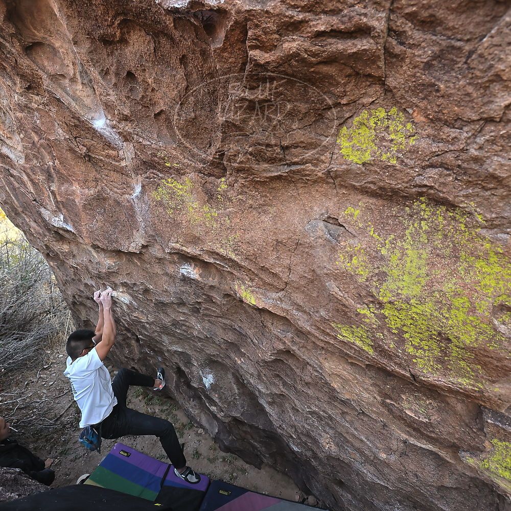 Filename: SRM_20221220_1428150.jpg
Aperture: f/5.6
Shutter Speed: 1/500
Body: Canon EOS R6
Lens: Canon EF 16-35mm f/2.8 L