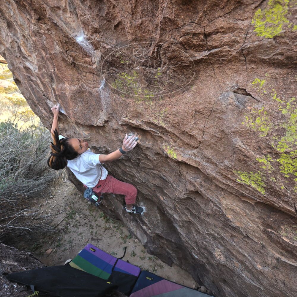 Filename: SRM_20221220_1430130.jpg
Aperture: f/5.6
Shutter Speed: 1/500
Body: Canon EOS R6
Lens: Canon EF 16-35mm f/2.8 L