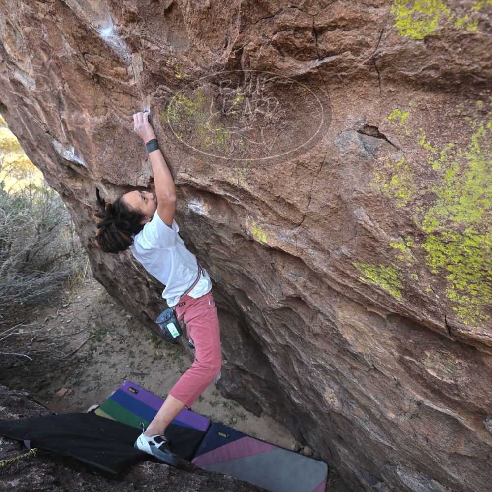 Filename: SRM_20221220_1430220.jpg
Aperture: f/5.6
Shutter Speed: 1/500
Body: Canon EOS R6
Lens: Canon EF 16-35mm f/2.8 L