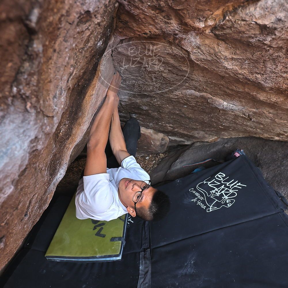 Filename: SRM_20221220_1524150.jpg
Aperture: f/5.6
Shutter Speed: 1/250
Body: Canon EOS R6
Lens: Canon EF 16-35mm f/2.8 L