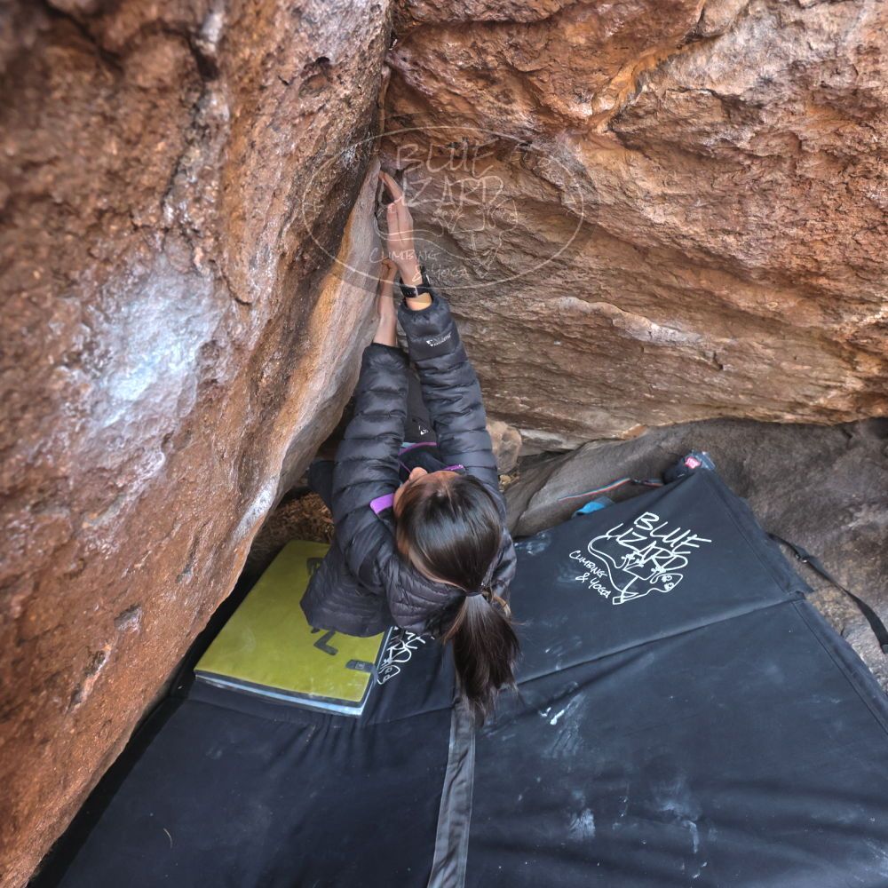 Filename: SRM_20221220_1527320.jpg
Aperture: f/5.6
Shutter Speed: 1/250
Body: Canon EOS R6
Lens: Canon EF 16-35mm f/2.8 L