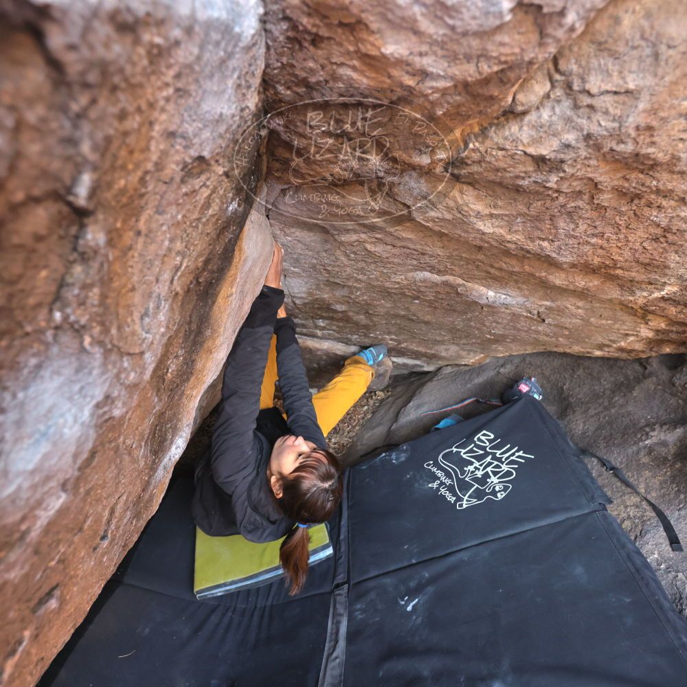 

Filename: SRM_20221220_1529130.jpg
Aperture: f/4.0
Shutter Speed: 1/400
Body: Canon EOS R6
Lens: Canon EF 16-35mm f/2.8 L