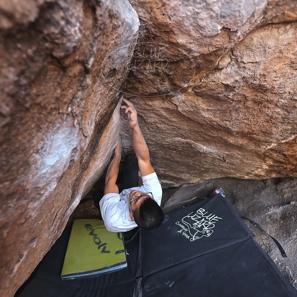 

Filename: SRM_20221220_1530490.jpg
Aperture: f/4.0
Shutter Speed: 1/400
Body: Canon EOS R6
Lens: Canon EF 16-35mm f/2.8 L