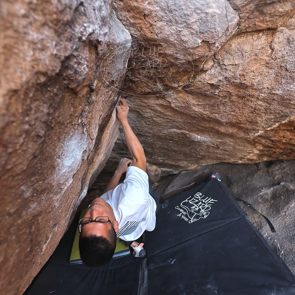 Filename: SRM_20221220_1530580.jpg
Aperture: f/4.0
Shutter Speed: 1/400
Body: Canon EOS R6
Lens: Canon EF 16-35mm f/2.8 L