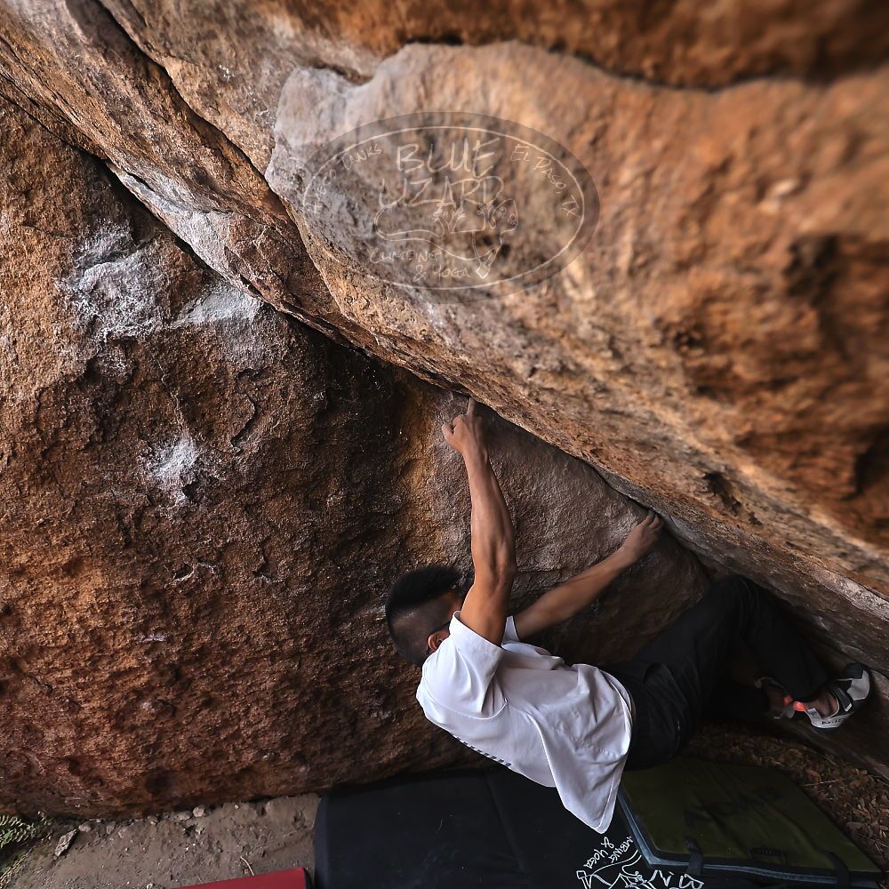 

Filename: SRM_20221220_1535540.jpg
Aperture: f/4.0
Shutter Speed: 1/400
Body: Canon EOS R6
Lens: Canon EF 16-35mm f/2.8 L