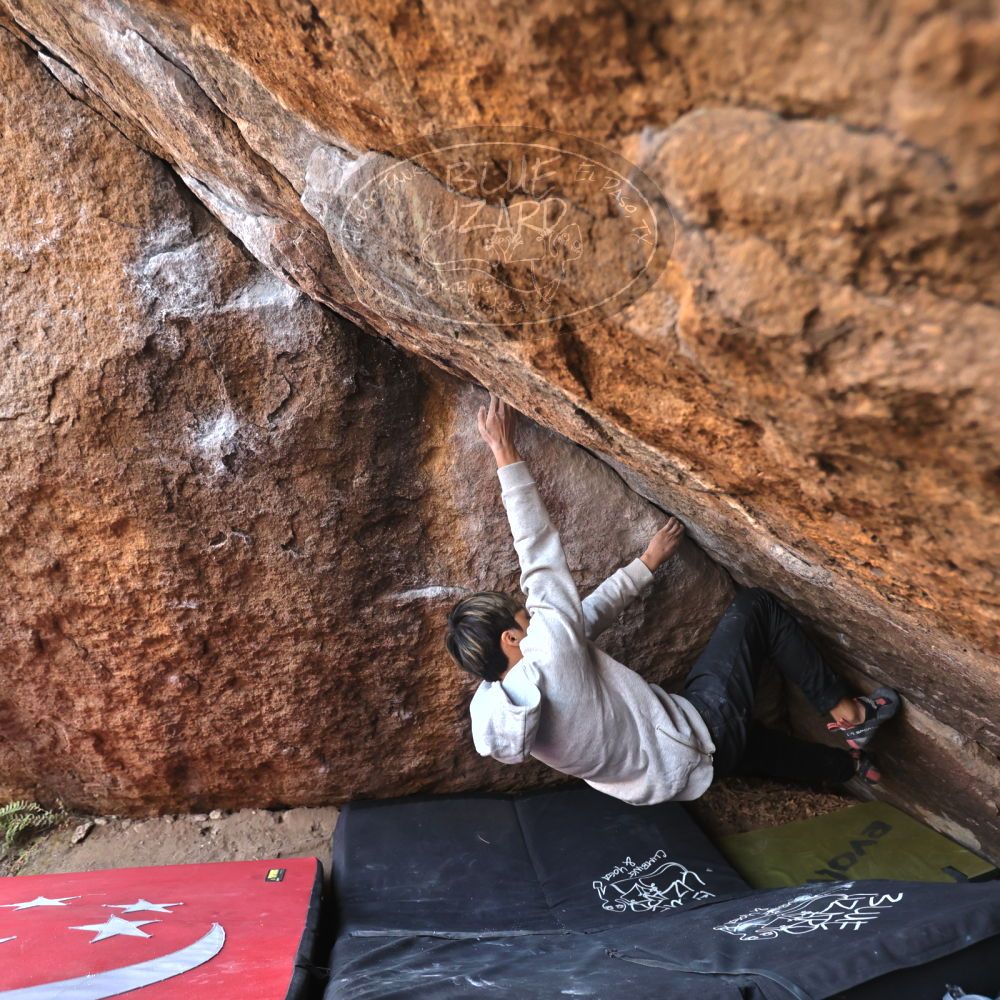 

Filename: SRM_20221220_1539210.jpg
Aperture: f/4.0
Shutter Speed: 1/400
Body: Canon EOS R6
Lens: Canon EF 16-35mm f/2.8 L