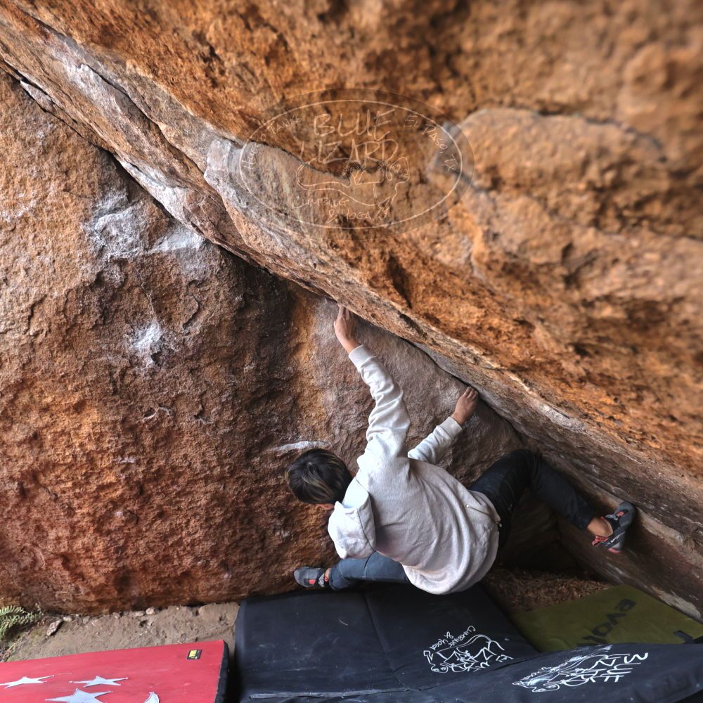 Filename: SRM_20221220_1539240.jpg
Aperture: f/4.0
Shutter Speed: 1/400
Body: Canon EOS R6
Lens: Canon EF 16-35mm f/2.8 L