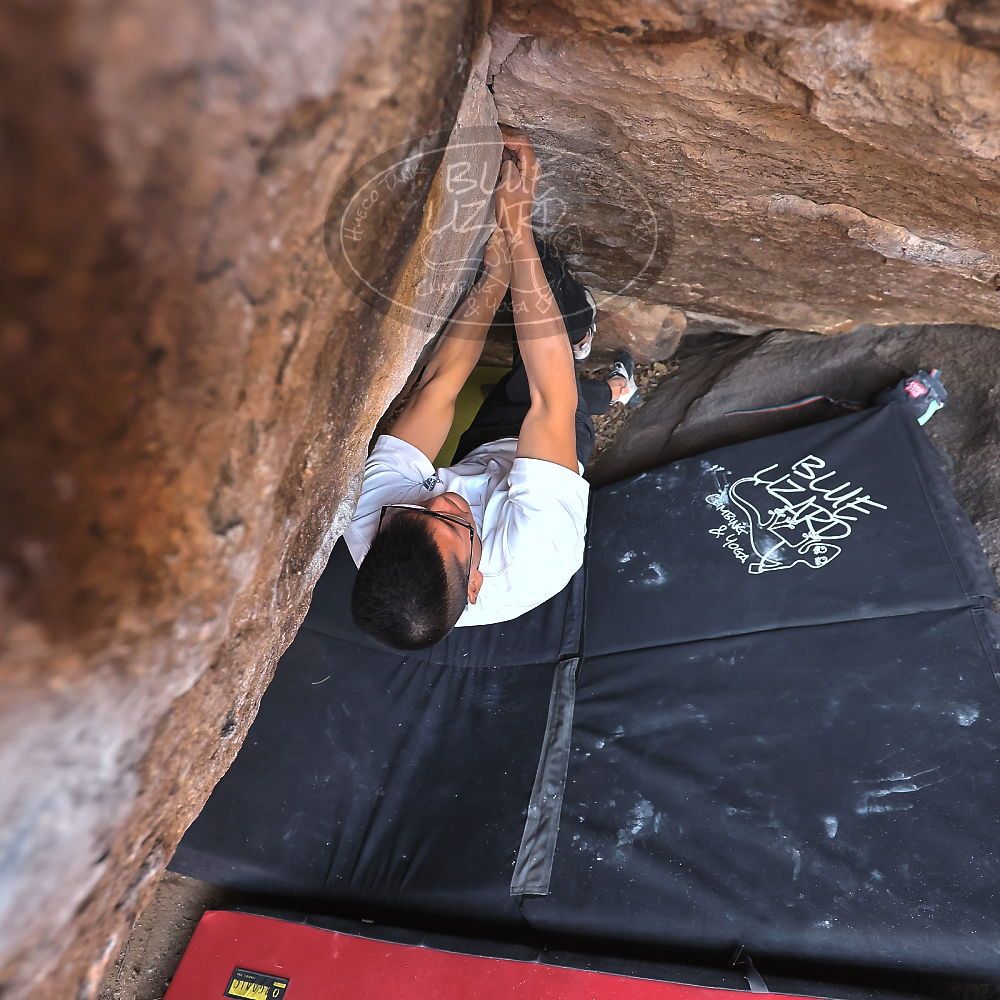 

Filename: SRM_20221220_1541160.jpg
Aperture: f/4.0
Shutter Speed: 1/400
Body: Canon EOS R6
Lens: Canon EF 16-35mm f/2.8 L