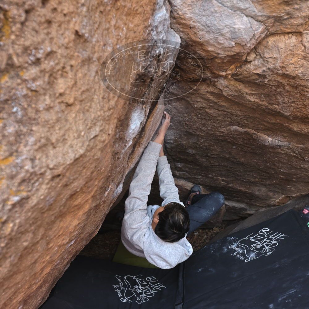 

Filename: SRM_20221220_1545210.jpg
Aperture: f/4.0
Shutter Speed: 1/400
Body: Canon EOS R6
Lens: Canon EF 16-35mm f/2.8 L