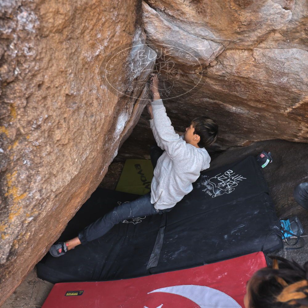 

Filename: SRM_20221220_1545300.jpg
Aperture: f/4.0
Shutter Speed: 1/400
Body: Canon EOS R6
Lens: Canon EF 16-35mm f/2.8 L