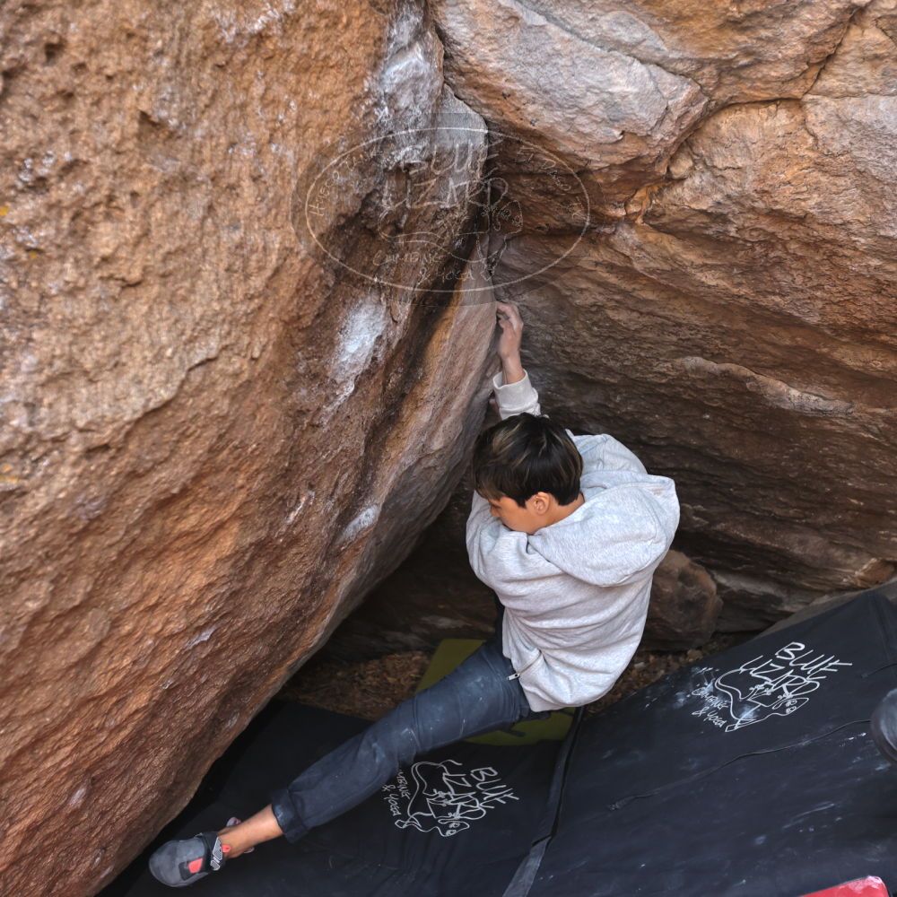 Filename: SRM_20221220_1548590.jpg
Aperture: f/4.0
Shutter Speed: 1/400
Body: Canon EOS R6
Lens: Canon EF 16-35mm f/2.8 L