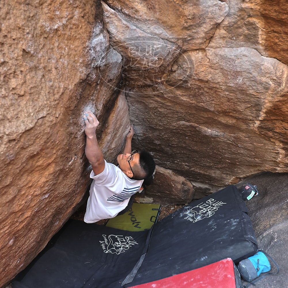 Filename: SRM_20221220_1552370.jpg
Aperture: f/4.0
Shutter Speed: 1/400
Body: Canon EOS R6
Lens: Canon EF 16-35mm f/2.8 L