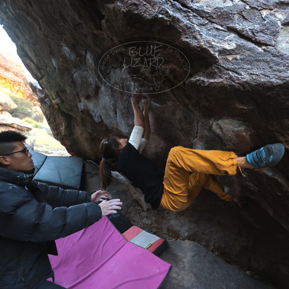 Filename: SRM_20221220_1648390.jpg
Aperture: f/4.0
Shutter Speed: 1/250
Body: Canon EOS R6
Lens: Canon EF 16-35mm f/2.8 L