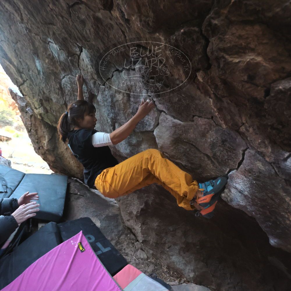 

Filename: SRM_20221220_1648460.jpg
Aperture: f/4.0
Shutter Speed: 1/250
Body: Canon EOS R6
Lens: Canon EF 16-35mm f/2.8 L