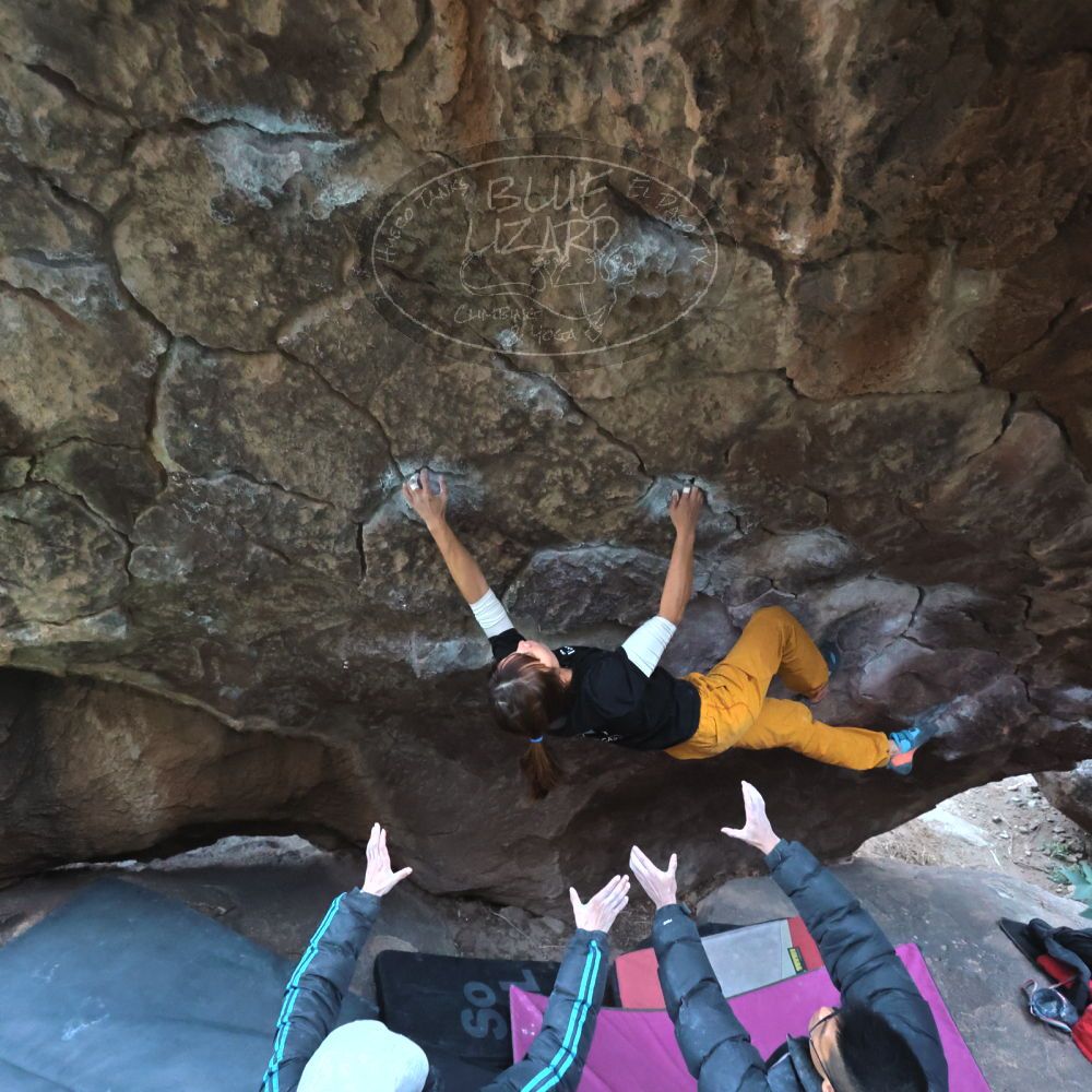 

Filename: SRM_20221220_1649130.jpg
Aperture: f/4.0
Shutter Speed: 1/250
Body: Canon EOS R6
Lens: Canon EF 16-35mm f/2.8 L