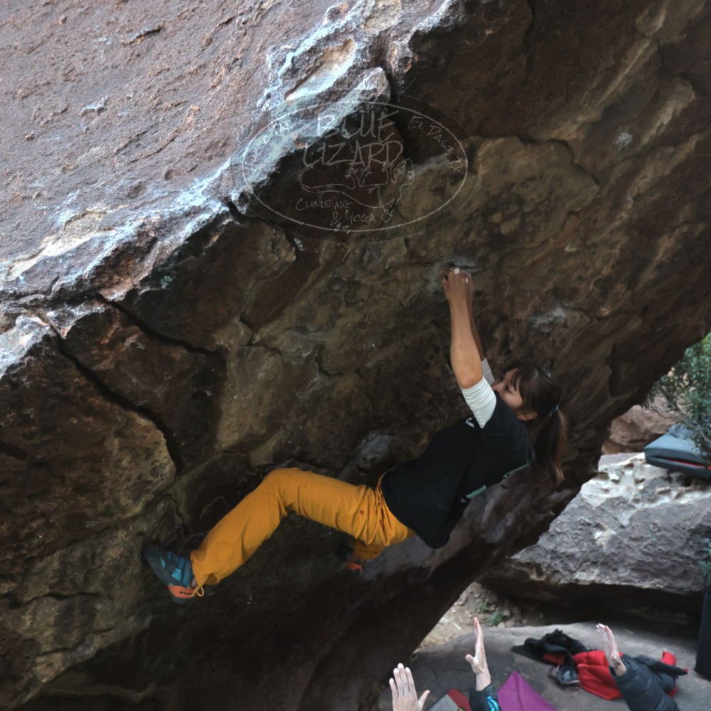 Filename: SRM_20221220_1649280.jpg
Aperture: f/2.8
Shutter Speed: 1/250
Body: Canon EOS R6
Lens: Canon EF 16-35mm f/2.8 L