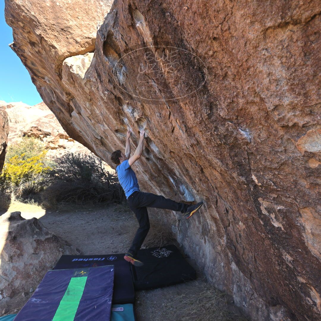 

Filename: SRM_20221227_0953431.jpg
Aperture: f/5.6
Shutter Speed: 1/250
Body: Canon EOS R6
Lens: Canon EF 16-35mm f/2.8 L