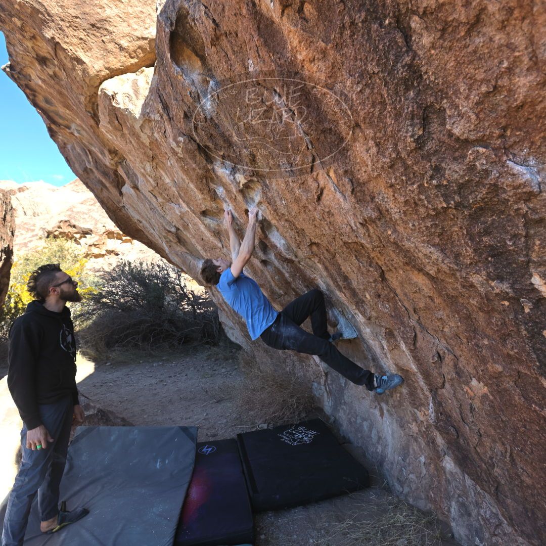 

Filename: SRM_20221227_0958250.jpg
Aperture: f/5.6
Shutter Speed: 1/400
Body: Canon EOS R6
Lens: Canon EF 16-35mm f/2.8 L