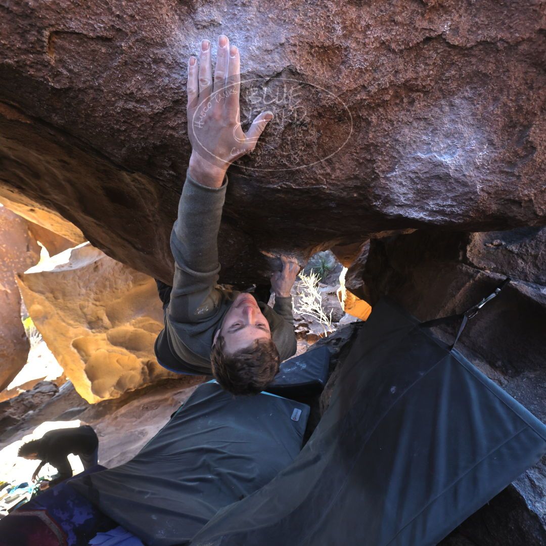 

Filename: SRM_20221227_1137530.jpg
Aperture: f/5.6
Shutter Speed: 1/320
Body: Canon EOS R6
Lens: Canon EF 16-35mm f/2.8 L