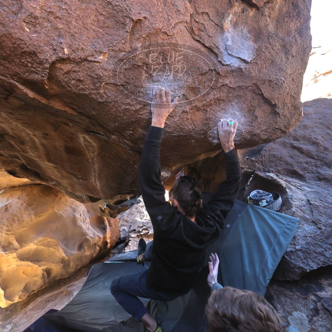 

Filename: SRM_20221227_1147360.jpg
Aperture: f/5.6
Shutter Speed: 1/320
Body: Canon EOS R6
Lens: Canon EF 16-35mm f/2.8 L