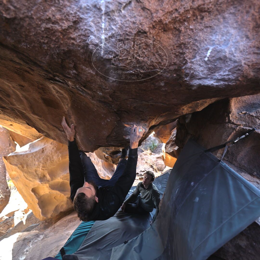 

Filename: SRM_20221227_1233530.jpg
Aperture: f/3.2
Shutter Speed: 1/320
Body: Canon EOS R6
Lens: Canon EF 16-35mm f/2.8 L