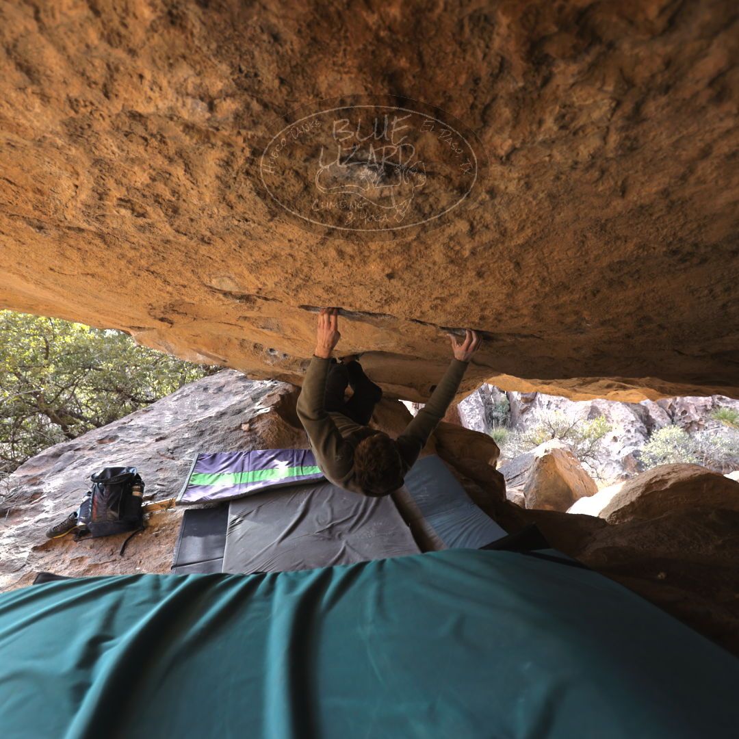 

Filename: SRM_20221227_1509531.jpg
Aperture: f/3.2
Shutter Speed: 1/320
Body: Canon EOS R6
Lens: Canon EF 16-35mm f/2.8 L