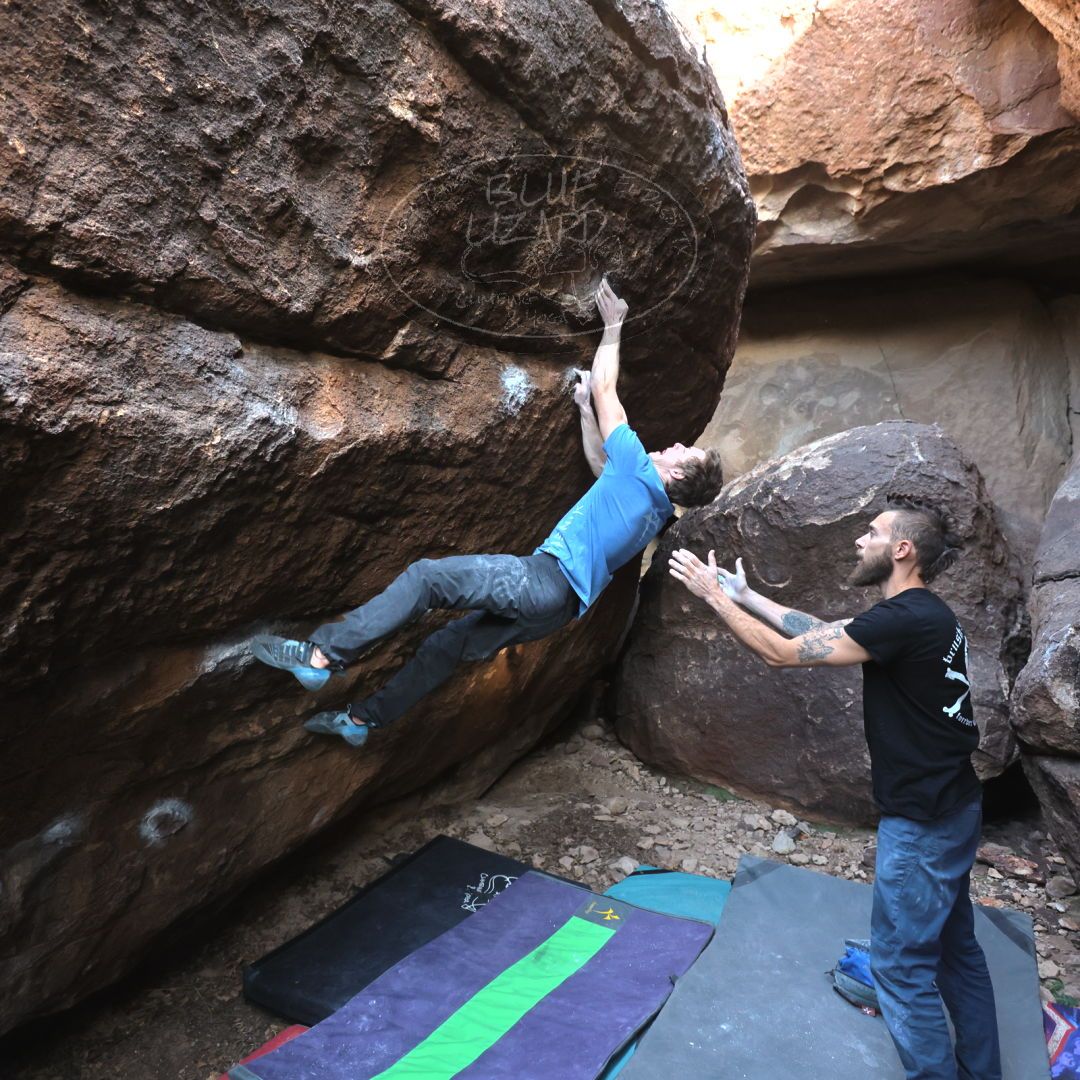 

Filename: SRM_20221227_1543390.jpg
Aperture: f/4.0
Shutter Speed: 1/320
Body: Canon EOS R6
Lens: Canon EF 16-35mm f/2.8 L