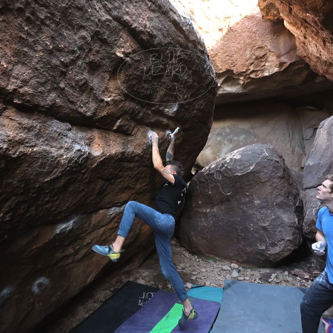 

Filename: SRM_20221227_1544591.jpg
Aperture: f/4.0
Shutter Speed: 1/320
Body: Canon EOS R6
Lens: Canon EF 16-35mm f/2.8 L