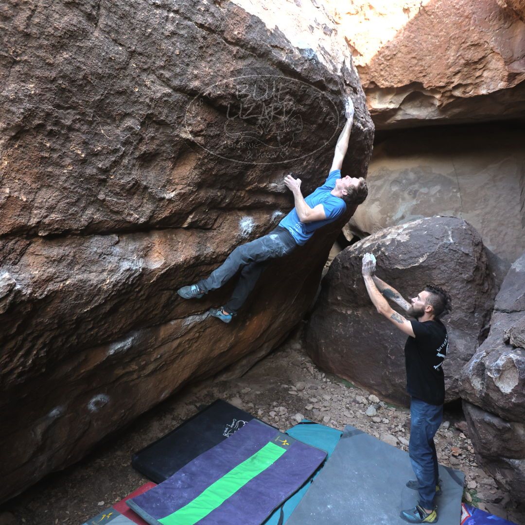 

Filename: SRM_20221227_1546070.jpg
Aperture: f/4.0
Shutter Speed: 1/320
Body: Canon EOS R6
Lens: Canon EF 16-35mm f/2.8 L