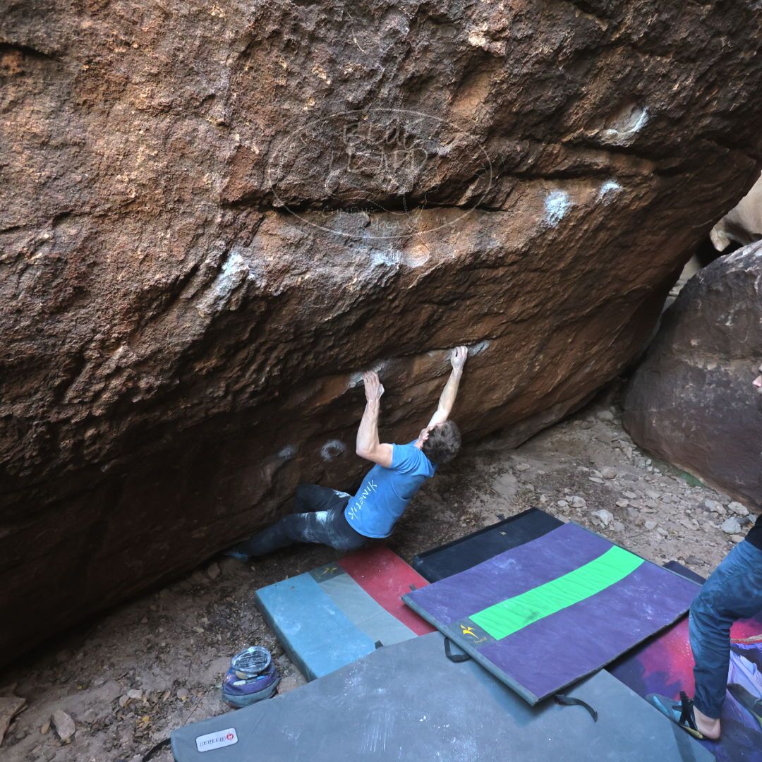 

Filename: SRM_20221227_1601000.jpg
Aperture: f/4.0
Shutter Speed: 1/320
Body: Canon EOS R6
Lens: Canon EF 16-35mm f/2.8 L