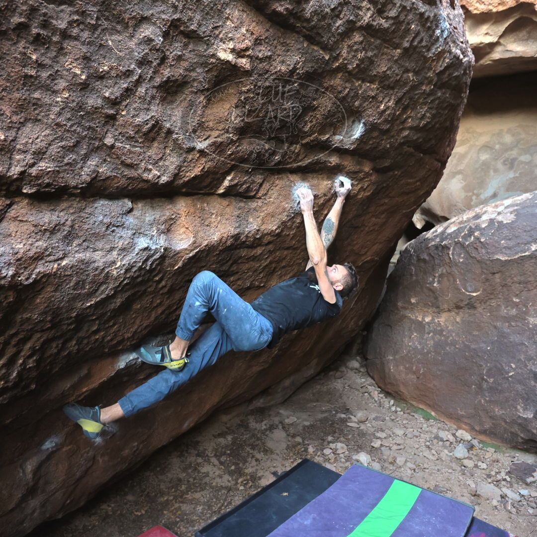 

Filename: SRM_20221227_1613180.jpg
Aperture: f/4.0
Shutter Speed: 1/320
Body: Canon EOS R6
Lens: Canon EF 16-35mm f/2.8 L