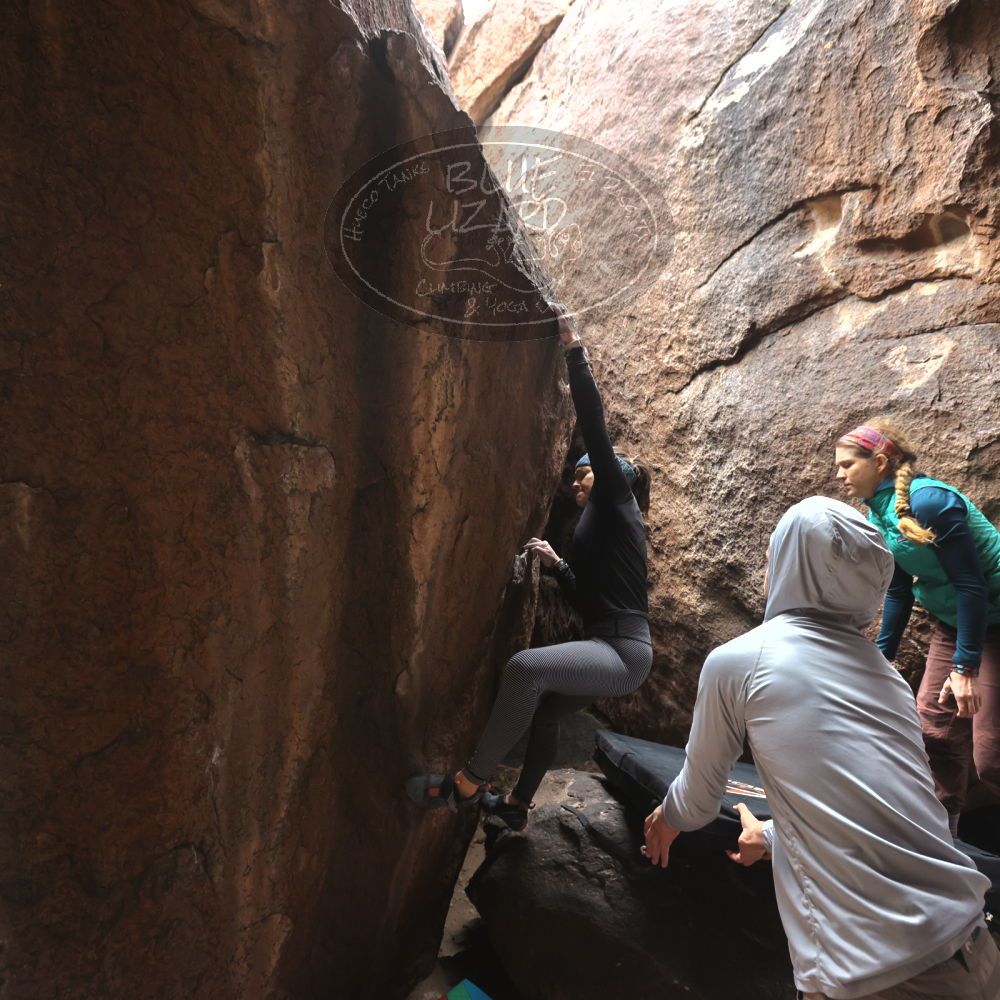 

Filename: SRM_20221228_1107500.jpg
Aperture: f/4.5
Shutter Speed: 1/320
Body: Canon EOS R6
Lens: Canon EF 16-35mm f/2.8 L