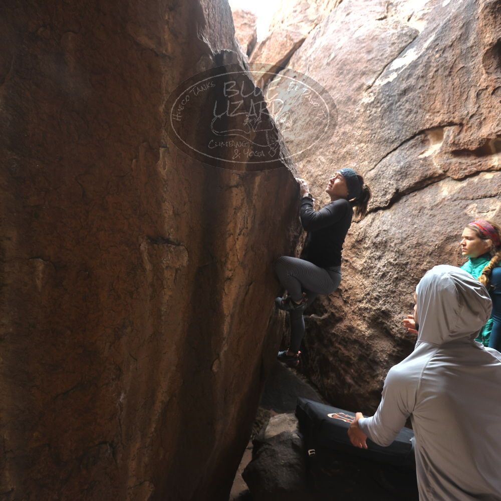 Filename: SRM_20221228_1107590.jpg
Aperture: f/4.5
Shutter Speed: 1/320
Body: Canon EOS R6
Lens: Canon EF 16-35mm f/2.8 L