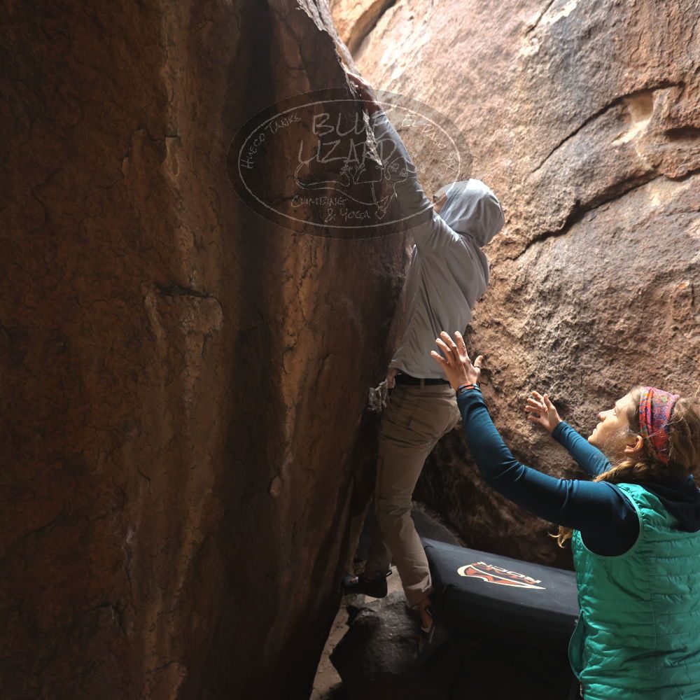 Filename: SRM_20221228_1111240.jpg
Aperture: f/4.5
Shutter Speed: 1/320
Body: Canon EOS R6
Lens: Canon EF 16-35mm f/2.8 L