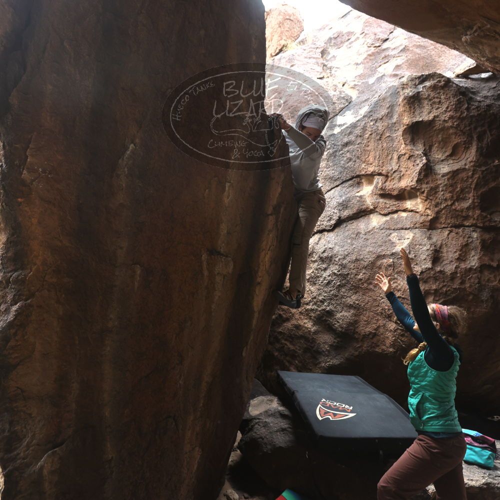 

Filename: SRM_20221228_1111390.jpg
Aperture: f/4.5
Shutter Speed: 1/320
Body: Canon EOS R6
Lens: Canon EF 16-35mm f/2.8 L